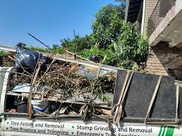 Best Dumpster Rental Services  in Forest Hills, TN