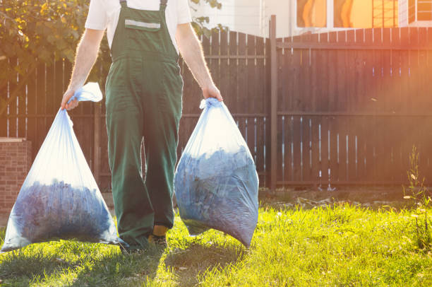 Best Basement Cleanout  in Forest Hills, TN