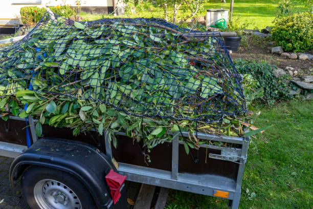 Best Hoarding Cleanup  in Forest Hills, TN